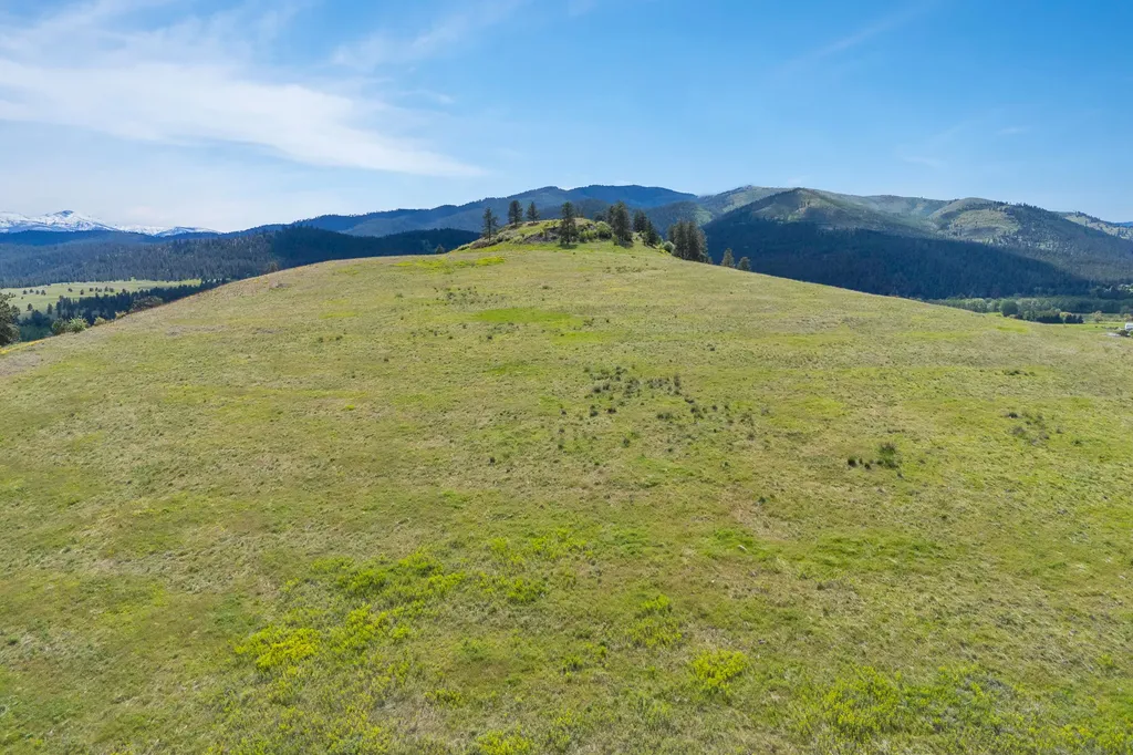 Nhn 40th Avenue Missoula MT 59804