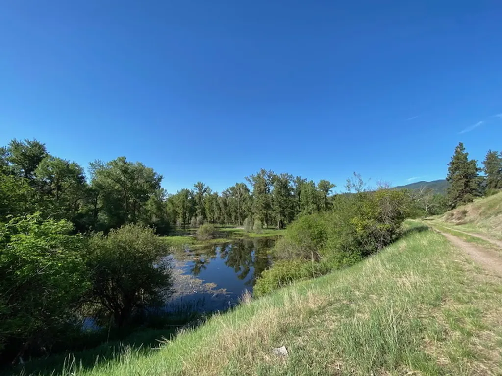 Nhn 40th Avenue Missoula MT 59804
