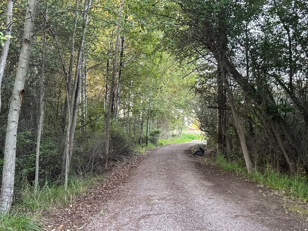 Lot 34 Tundra Swan Way Polson MT 59860