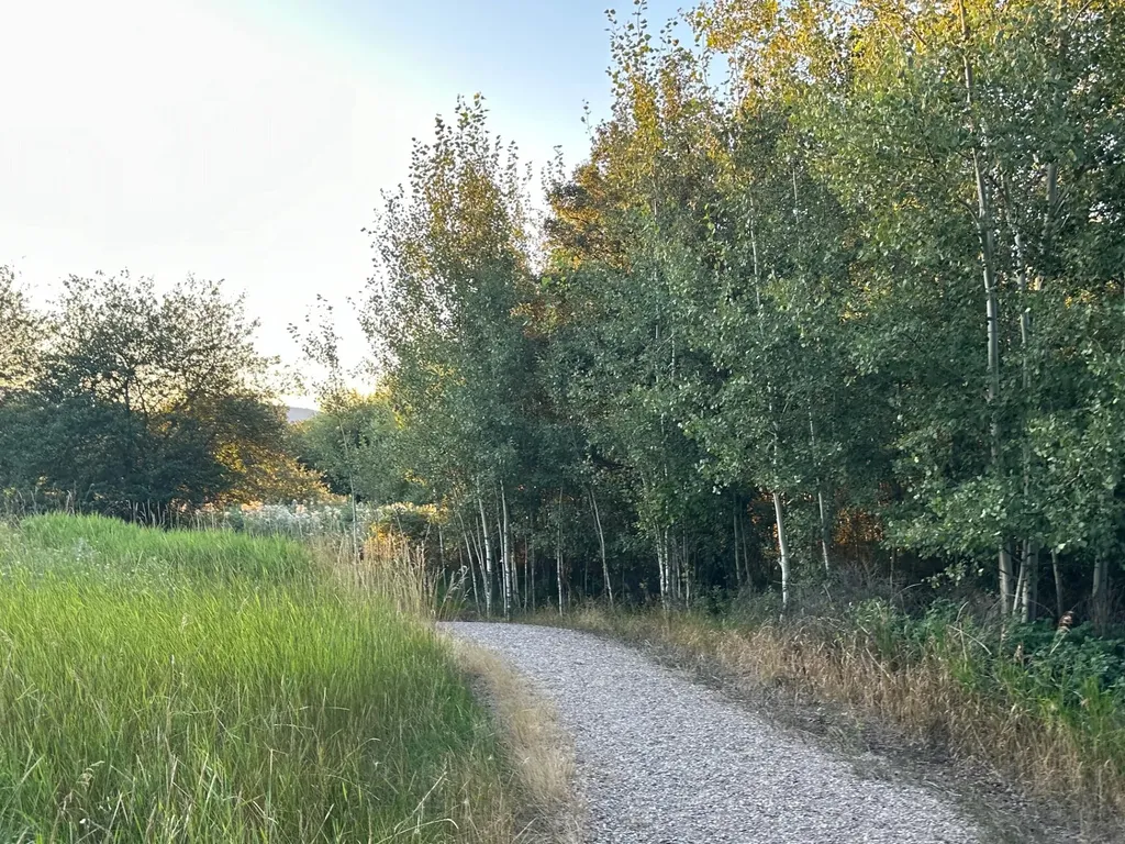 Lot 34 Tundra Swan Way Polson MT 59860