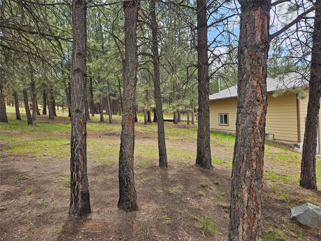 3 Skunk Alley Lane Hot Springs MT 59845