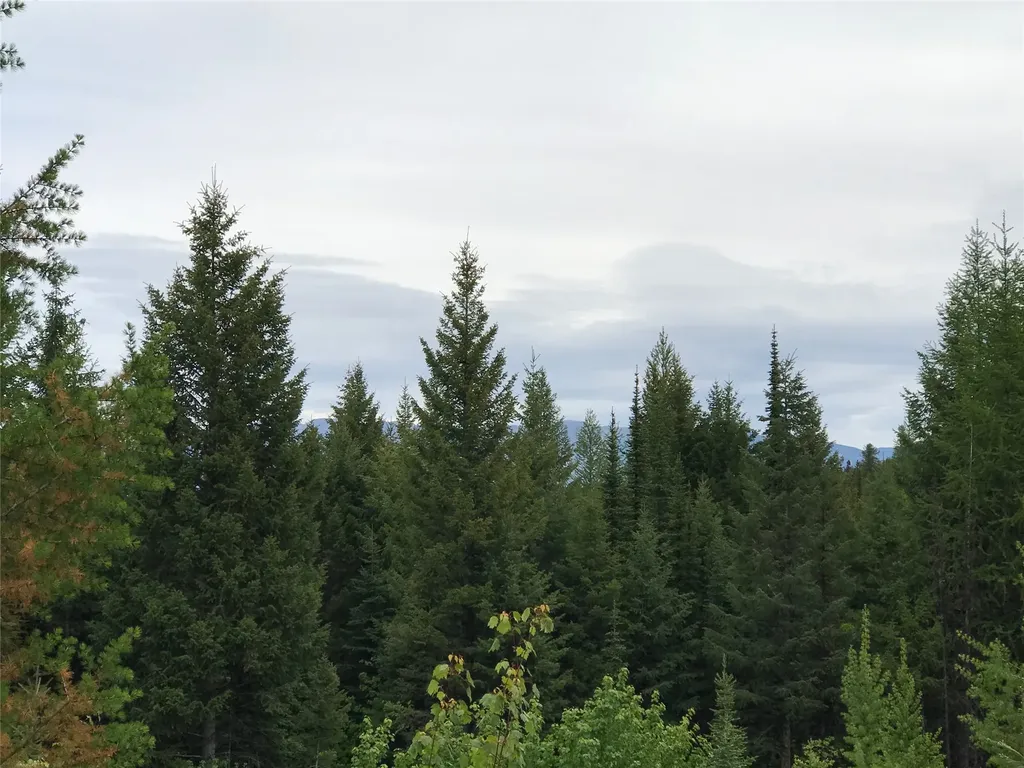 2152 Butcher Creek Road Trego MT 59934