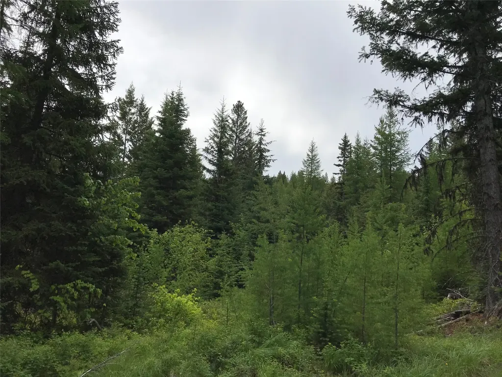 2152 Butcher Creek Road Trego MT 59934