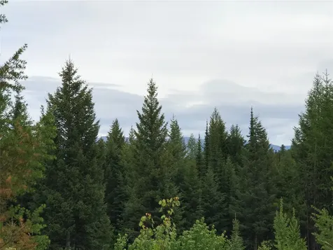 2152 Butcher Creek Road Trego MT 59934