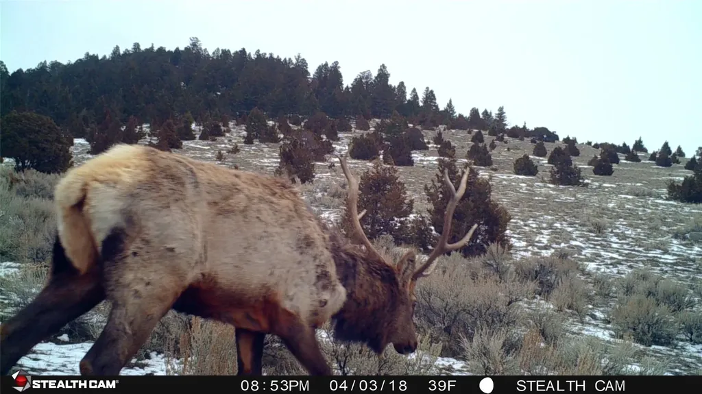 902 Lower Valley Road Boulder MT 59632