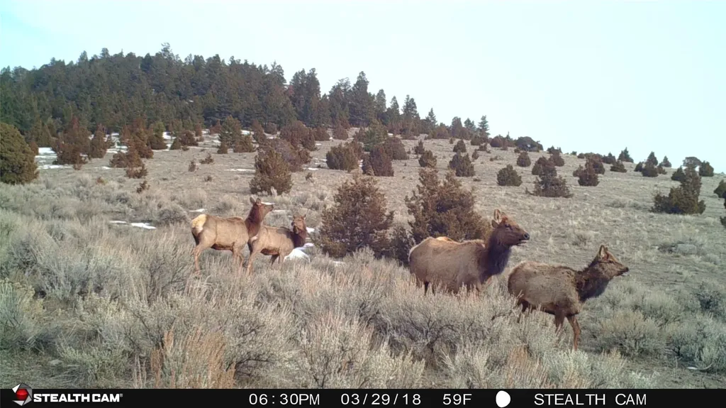 902 Lower Valley Road Boulder MT 59632