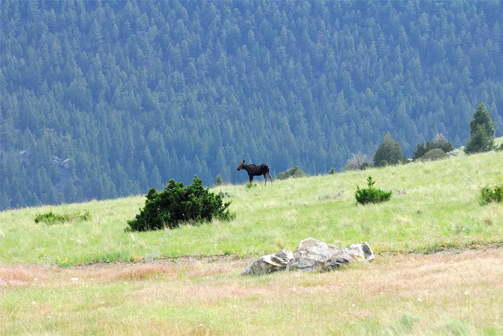902 Lower Valley Road Boulder MT 59632