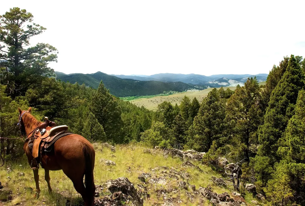 902 Lower Valley Road Boulder MT 59632