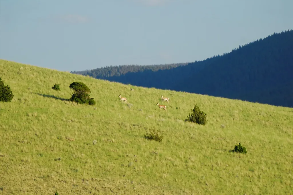 902 Lower Valley Road Boulder MT 59632