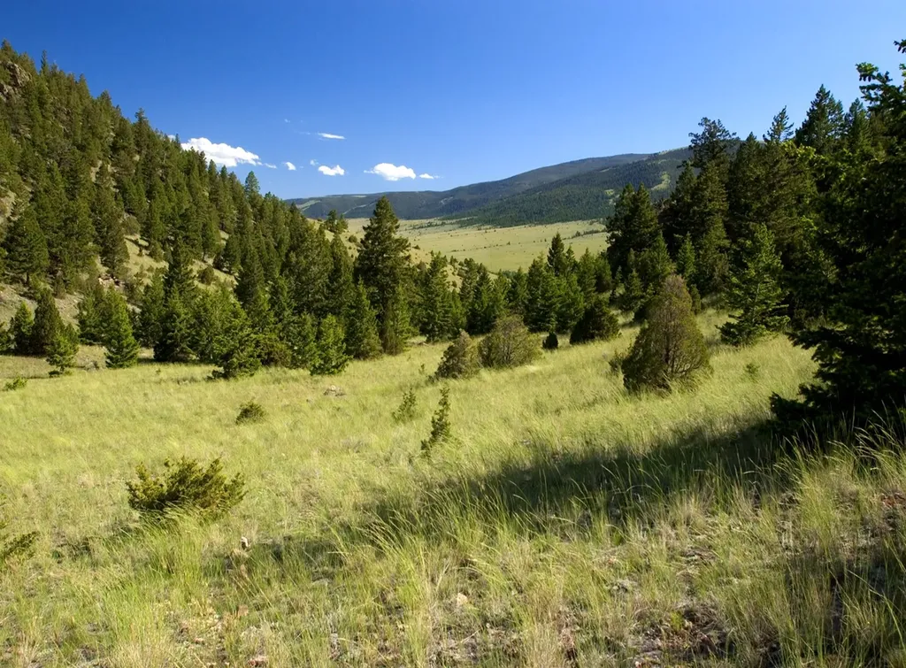 902 Lower Valley Road Boulder MT 59632