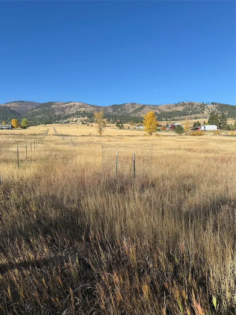 16350 Queen Anne Lane Florence MT 59833