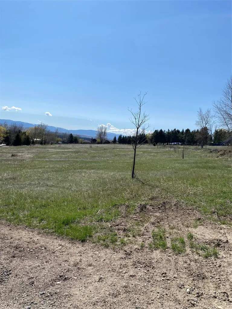 16350 Queen Anne Lane Florence MT 59833
