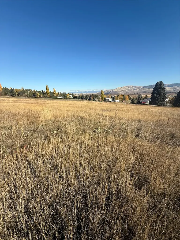 16350 Queen Anne Lane Florence MT 59833