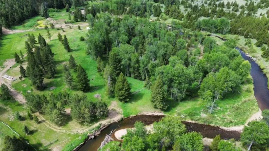 8229 Dead End Trail Lincoln MT 59639