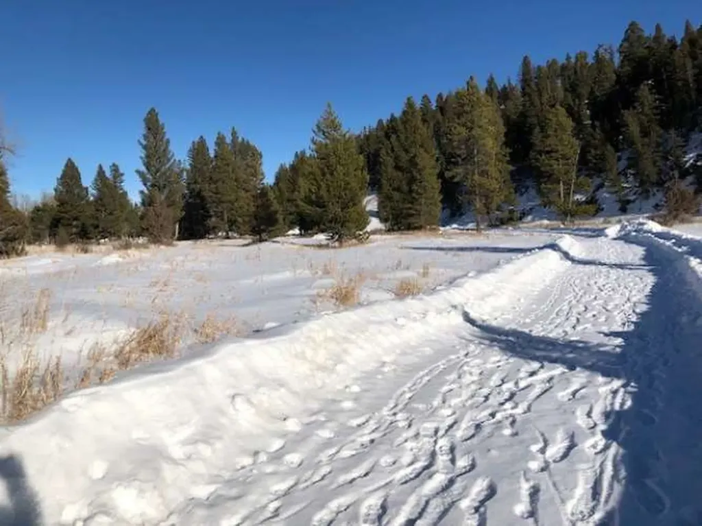 8229 Dead End Trail Lincoln MT 59639