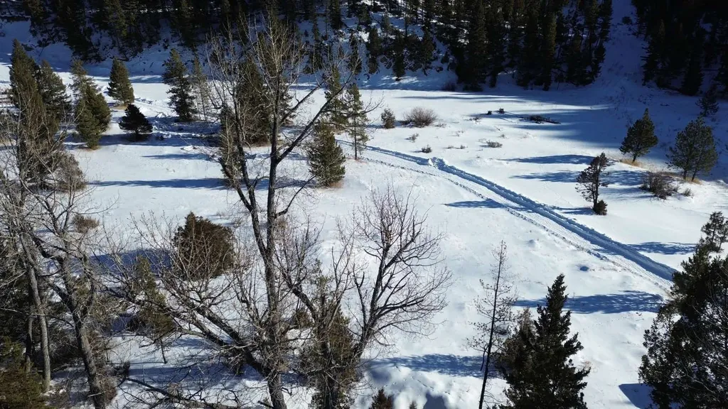 8229 Dead End Trail Lincoln MT 59639