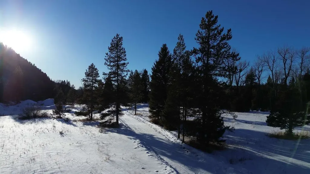 8229 Dead End Trail Lincoln MT 59639