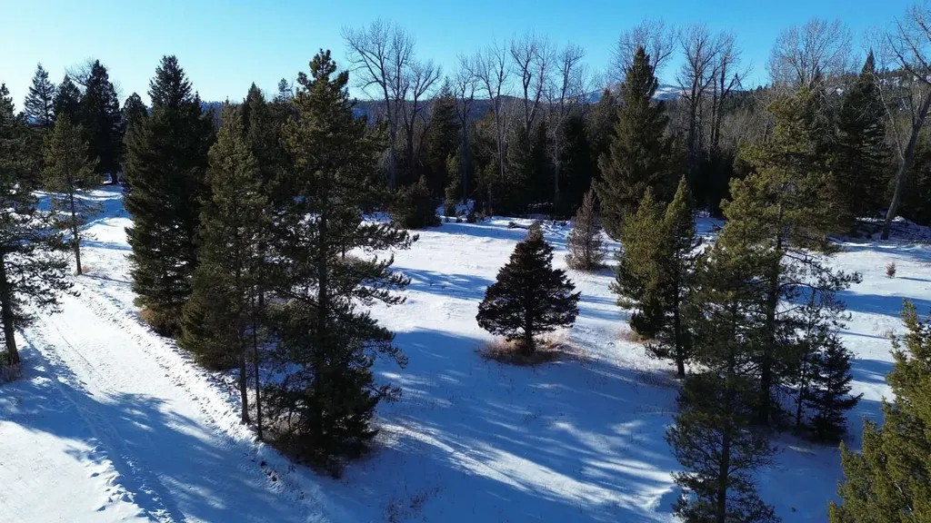 8229 Dead End Trail Lincoln MT 59639