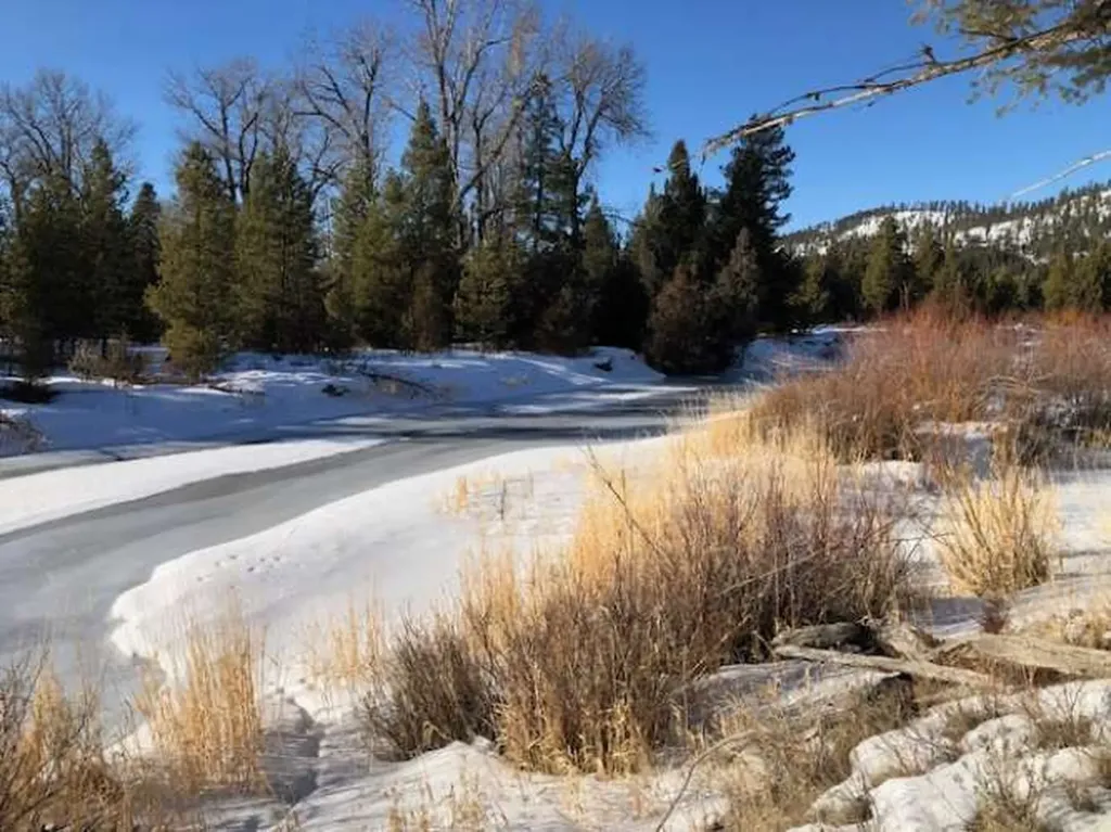 8229 Dead End Trail Lincoln MT 59639