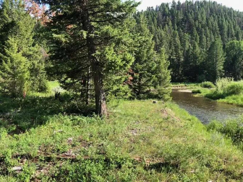 8229 Dead End Trail Lincoln MT 59639
