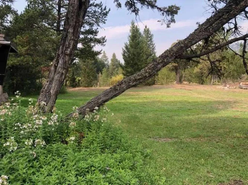 8229 Dead End Trail Lincoln MT 59639