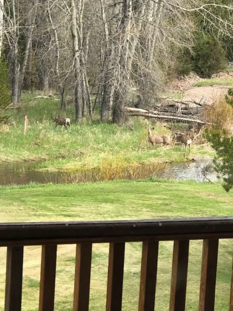 8229 Dead End Trail Lincoln MT 59639