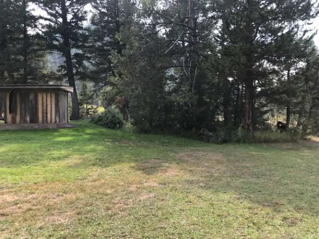 8229 Dead End Trail Lincoln MT 59639