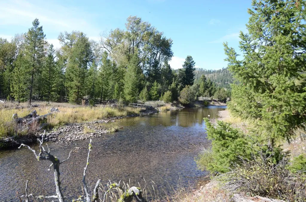 8229 Dead End Trail Lincoln MT 59639