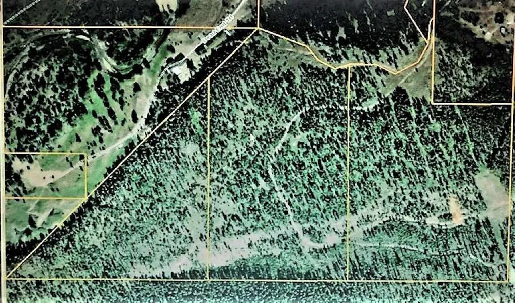8229 Dead End Trail Lincoln MT 59639