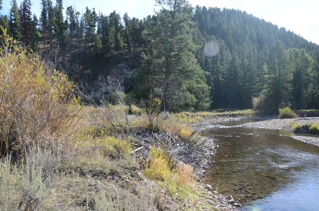 8229 Dead End Trail Lincoln MT 59639