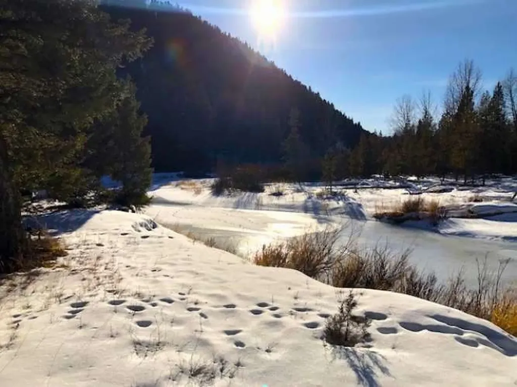 8229 Dead End Trail Lincoln MT 59639