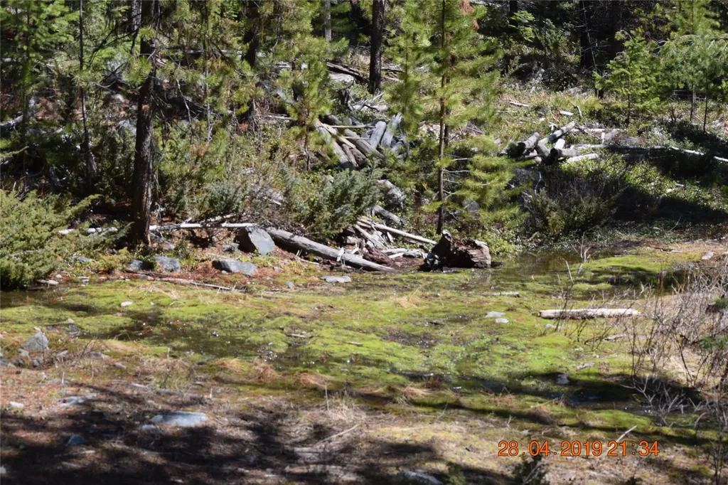 Nhn Highway 2 Marion MT 59925