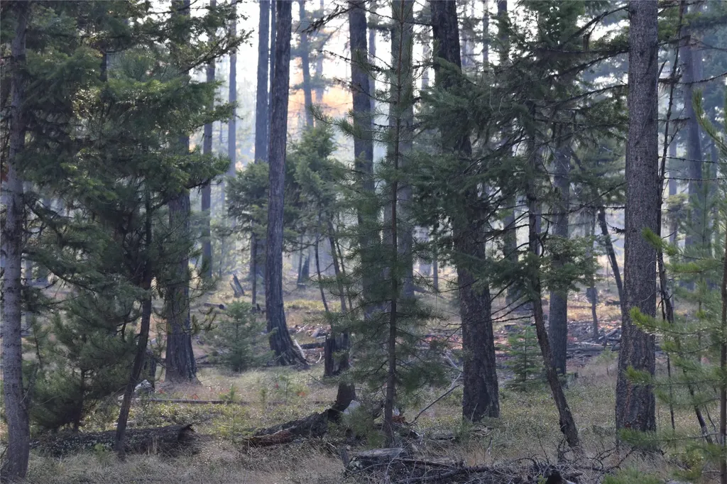 Nhn Highway 2 Marion MT 59925