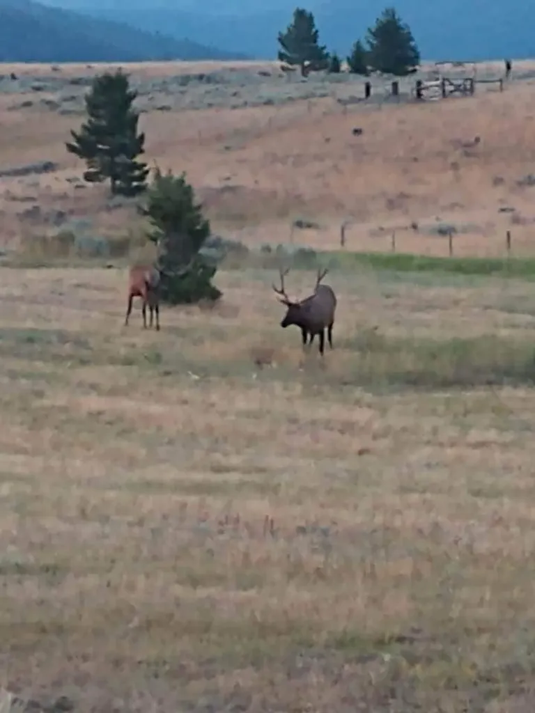 3358 Strandskov Road Lincoln MT 59639