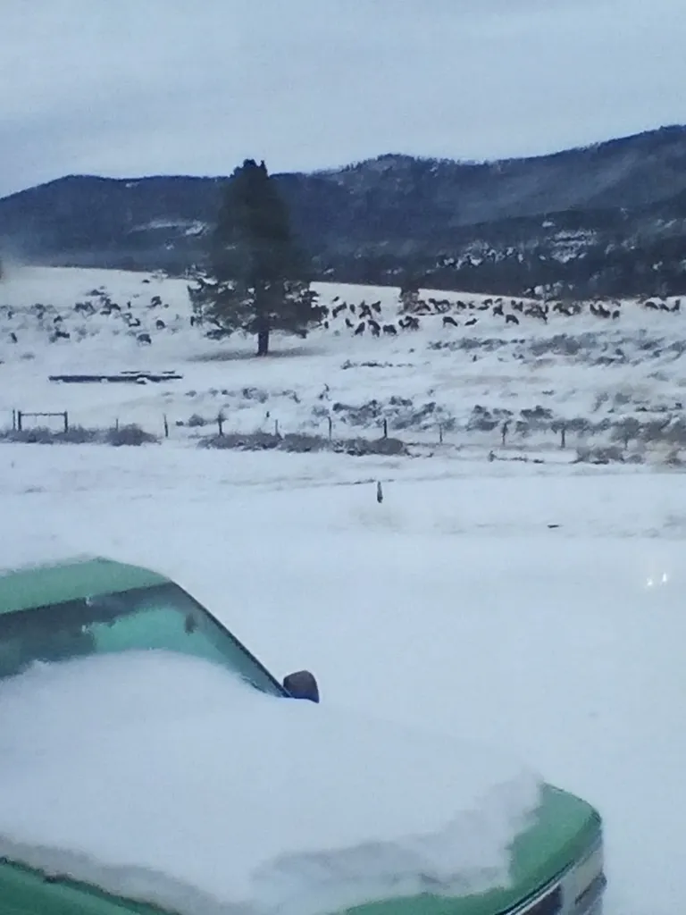 3358 Strandskov Road Lincoln MT 59639