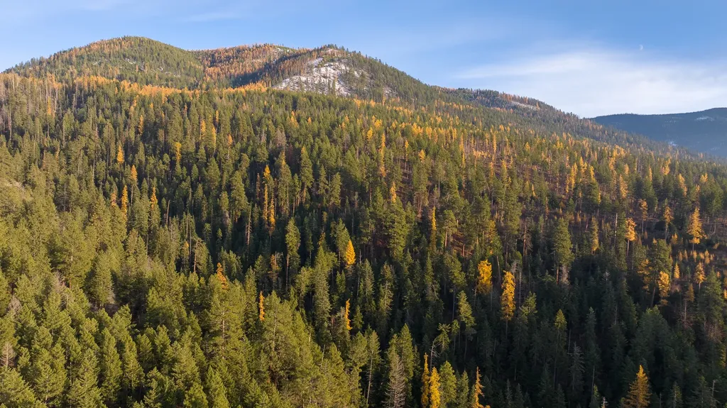 21770 Mt Highway 35 Bigfork MT 59911