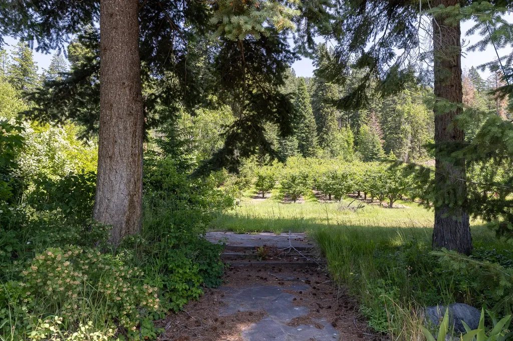 21770 Mt Highway 35 Bigfork MT 59911