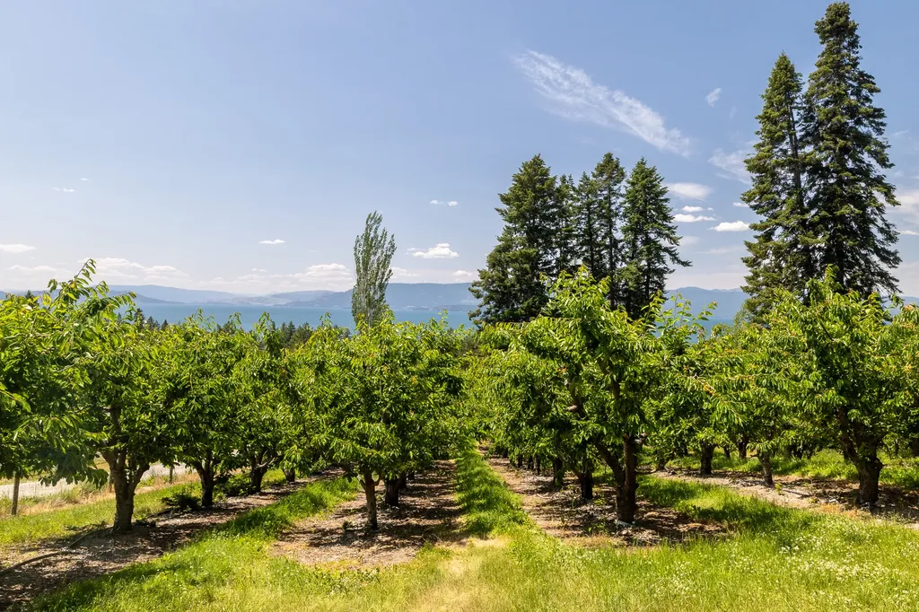 21770 Mt Highway 35 Bigfork MT 59911