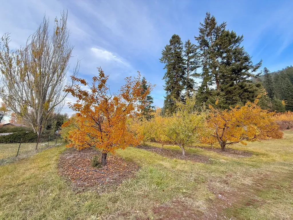 21770 Mt Highway 35 Bigfork MT 59911
