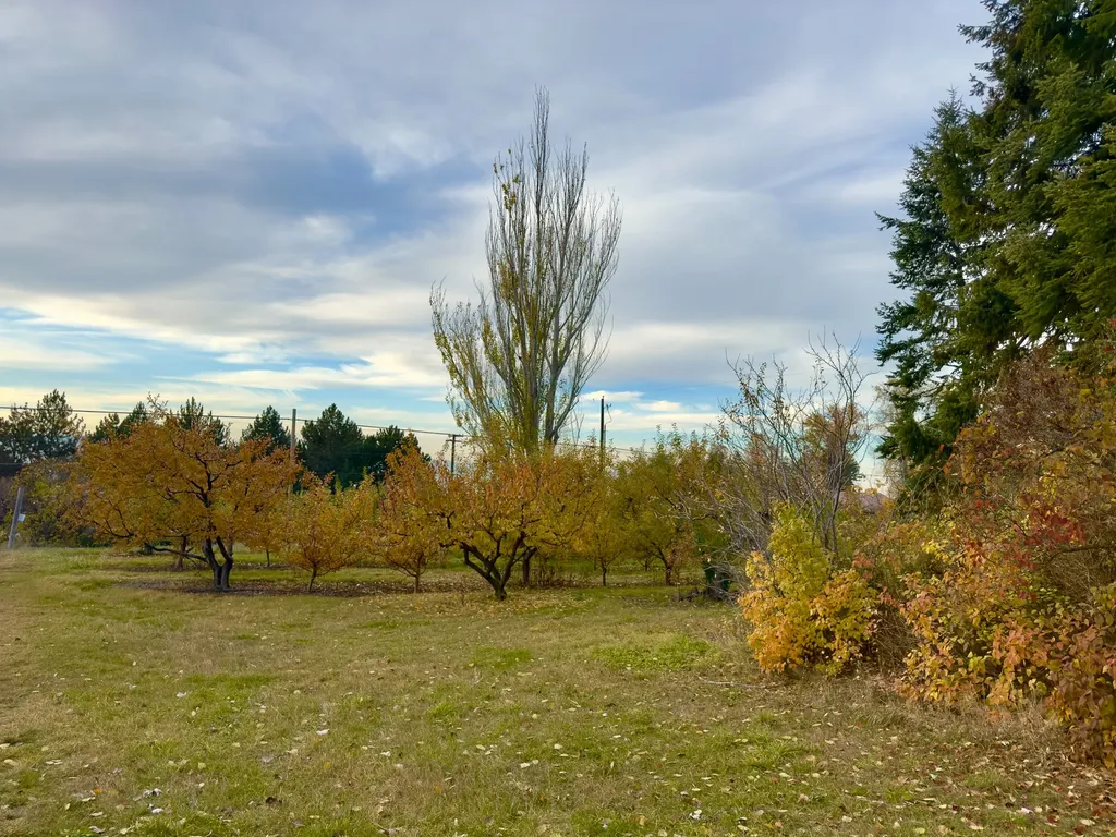 21770 Mt Highway 35 Bigfork MT 59911