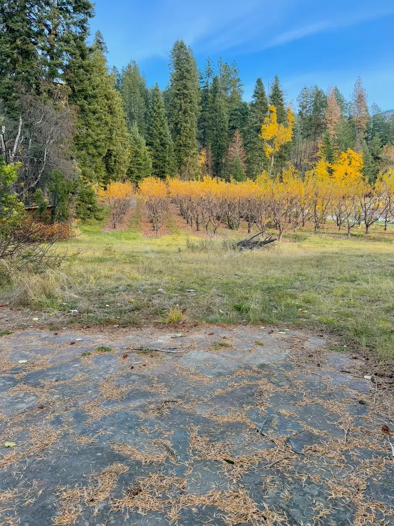 21770 Mt Highway 35 Bigfork MT 59911