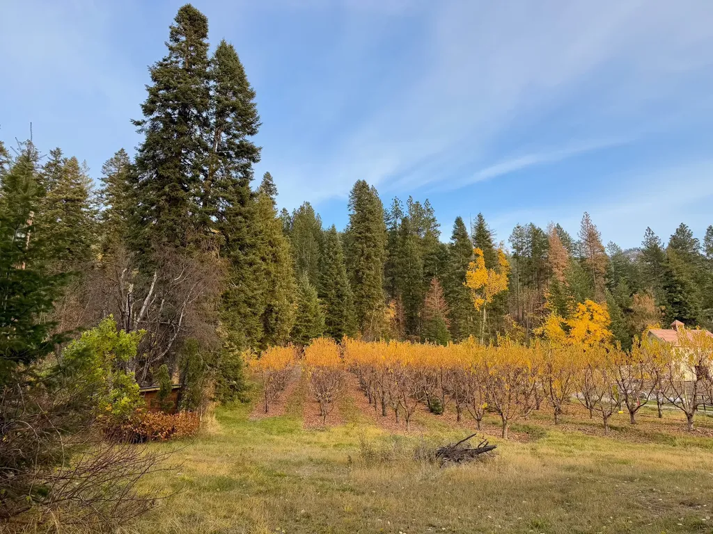 21770 Mt Highway 35 Bigfork MT 59911