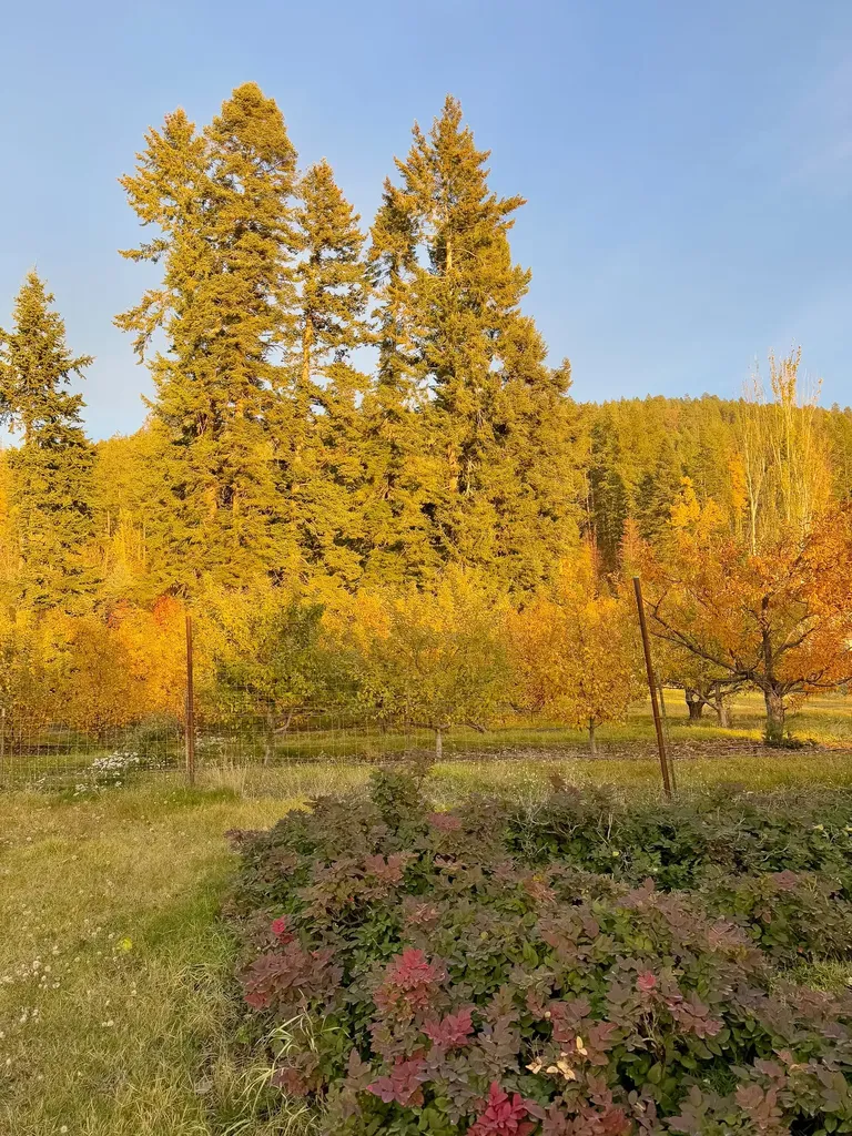 21770 Mt Highway 35 Bigfork MT 59911
