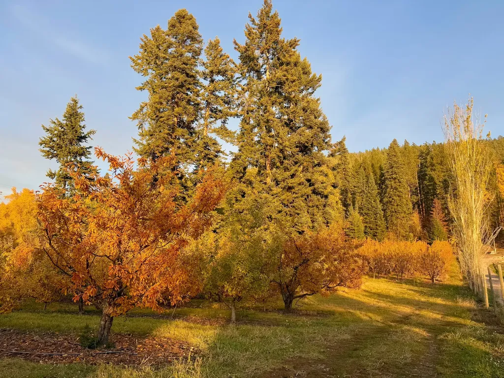 21770 Mt Highway 35 Bigfork MT 59911