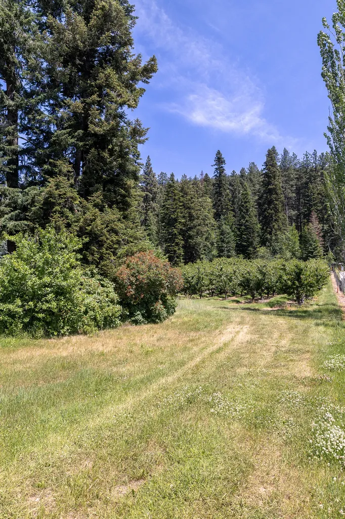 21770 Mt Highway 35 Bigfork MT 59911