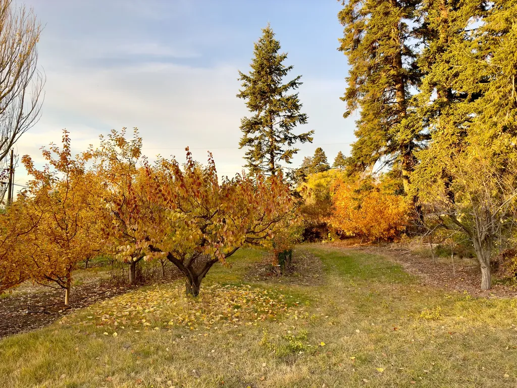 21770 Mt Highway 35 Bigfork MT 59911