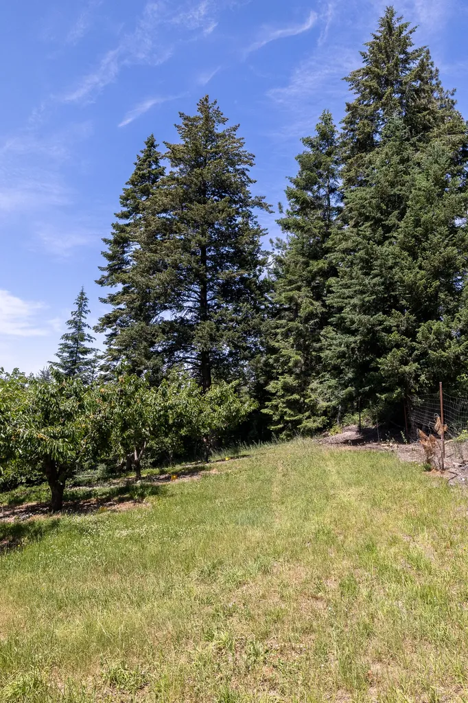 21770 Mt Highway 35 Bigfork MT 59911
