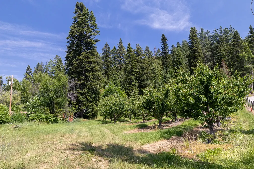 21770 Mt Highway 35 Bigfork MT 59911