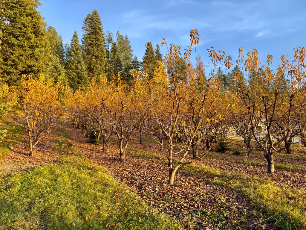 21770 Mt Highway 35 Bigfork MT 59911