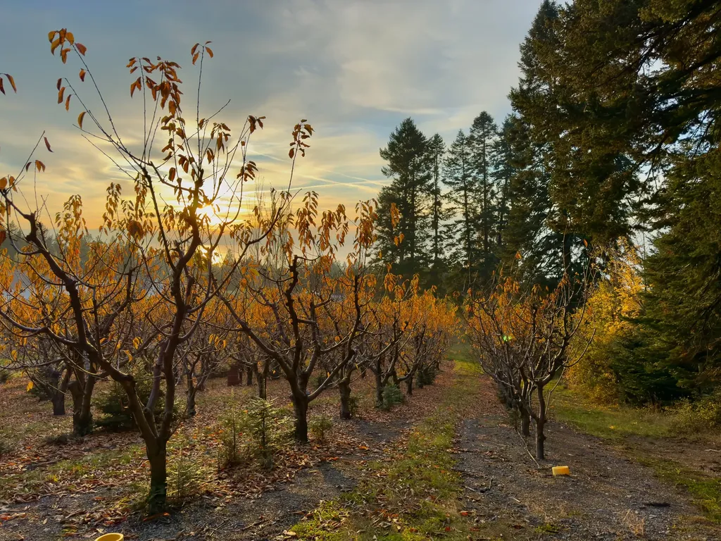 21770 Mt Highway 35 Bigfork MT 59911